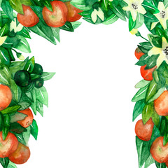 Mandarin branches, lush frame with green leaves, flowers on isolated white background, watercolor illustration, citrus collection, orange, for the design of beautiful greeting cards.