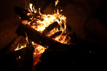 burning flame wood fire logs in the oven grill for tourists
