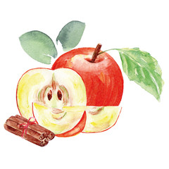 Arrangement watercolor apples and cinnamon. Bio Sweet fruit.