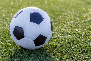 Soccer football on green grass