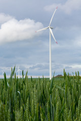 wind turbines in green field