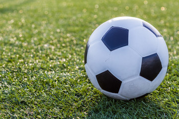Fototapeta premium Soccer football on green grass