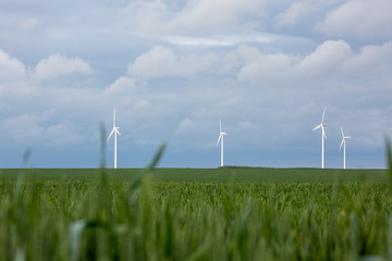 wind turbines in field with blue sky and clouds