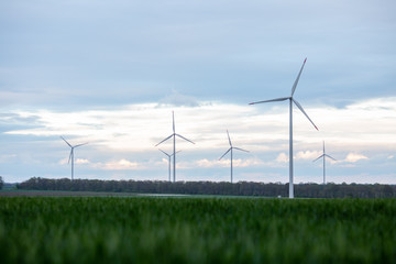 wind turbines in field