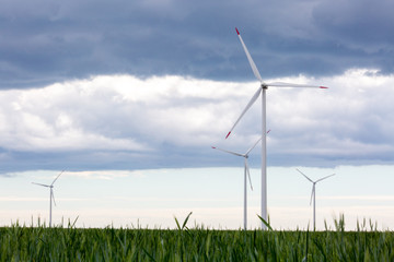 wind turbines in the field