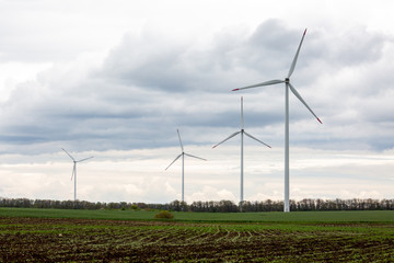 wind turbines in the field