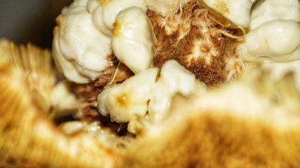 Tarap or Terap (Species: Artocarpus odoratissimus) is a fruit native to Borneo. Also known as Timadang, marang and madang in local language with white background.