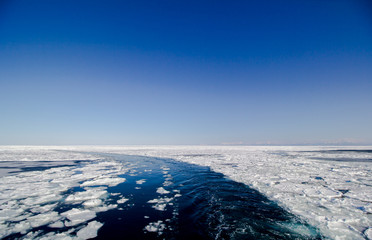 Sea Ice at Hokkaida japan