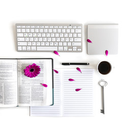 Flat lay open Bible / book and pink/purple/violette/red Gerbera flower on a white background. With...