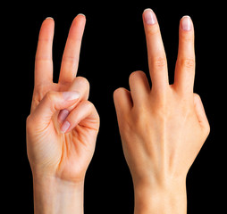 Female hand showing two fingers in the peace symbol