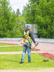 The lawn mower works in a flower bed in the city center. trimming lawn grass.