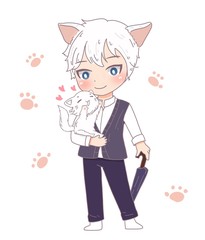 little boy holding a cat. 