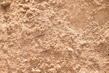 Texture (background) of sand