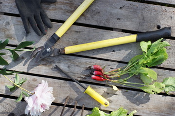 Garden tools for working in nature laid out on boards