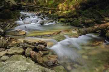 Fototapeta na wymiar The mountain river flows through a green fairy forest