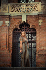 Obraz premium Elegant blonde woman posing against a brick wall wearing a animal print dress.