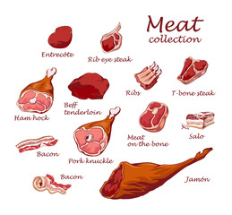 Collection of hand drawn vintage style food ingredients. Outline retro illustrations of meat, ham, pork, beef, lamb, bacon, ribs, steak, tenderloin. Vector icons, emblem and logo elements. - 267745608