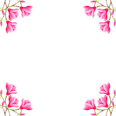 Watercolor pink magnolia flowers square frame. Hand painted illustration isolated on white background