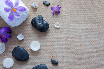 Spa still life with black stones, violet crocus and towel.