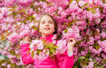 Kid enjoying pink cherry blossom. Tender bloom. Pink is the most girlish color. Bright and vibrant. Pink is my favorite. Little girl enjoy spring. Kid on pink flowers of sakura tree background