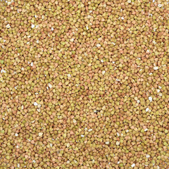Buckwheat texture high-quality photograph of premium buckwheat groats
