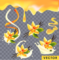 Vector realistic vanilla. Vanilla flavor products: yogurt, milkshake, protein shake, cream, whipped cream, sugar syrup, ice cream