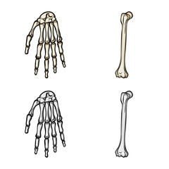 Isolated object of medicine and clinic icon. Set of medicine and medical vector icon for stock.