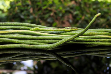 Yard Long bean on black background and reflection