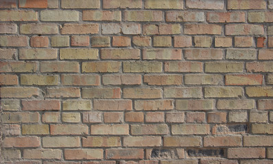 Backgrounds are different, such as: sackcloth, brick wall, paving tiles, sack, burlap
