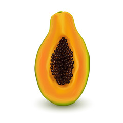Realistic papaya isolated on white background. Exotic fruit series.