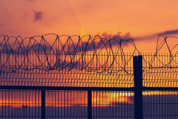 Spiny fence on the background of a fiery, bright sunset
