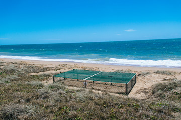 Naklejka na ściany i meble Protection and surveillance enclosure for sea turtle eggs on a beach