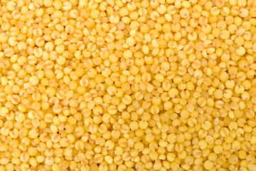 Millet yellow background