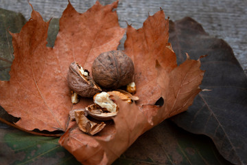 Autumn still life of dry fallen leaves and walnuts on a wooden background. Seasonal harvest, atmosphere of tranquil and gratitude.