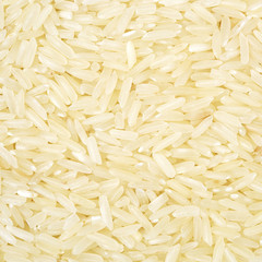 close up shot of the rice background