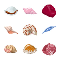 Vector design of seashell and mollusk logo. Collection of seashell and seafood  vector icon for stock.