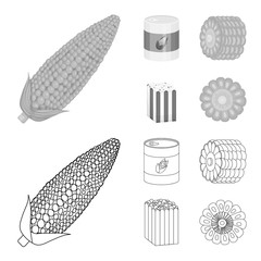 Vector design of cornfield and vegetable symbol. Collection of cornfield and vegetarian vector icon for stock.