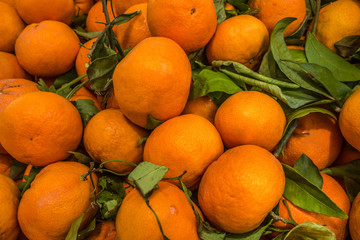 tangerines on a branch on the counter on the market close up