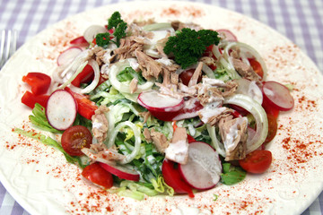 Gemischter Salat mit Thunfisch
