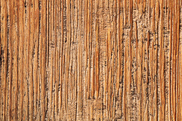 Natural background. The texture of the bark of a tropical tree.