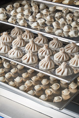 Industrial freezer. Professional kitchen equipment.Shock freezing. 