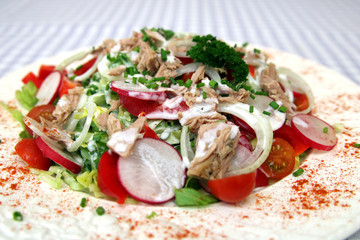 Gemischter Salat mit Thunfisch