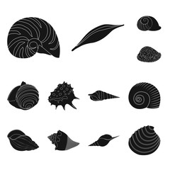 Vector design of nature  and ocean sign. Collection of nature  and mollusk stock symbol for web.