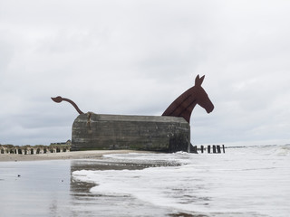 Maultier in Blåvand