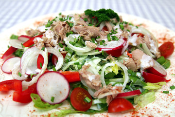 Gemischter Salat mit Thunfisch