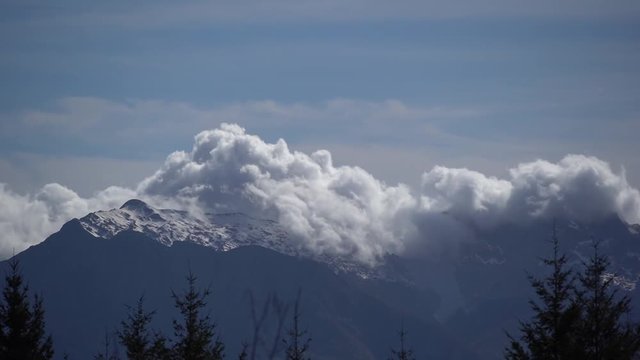 Alpi 