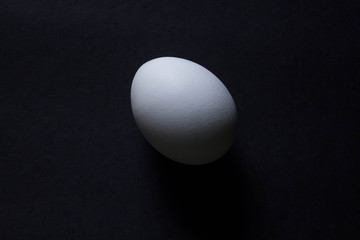 white egg on black background with copyspace
