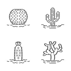 Wild cacti in land linear icons set