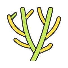 Pencil cactus color icon