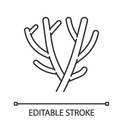 Pencil cactus linear icon